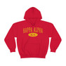  Kappa Alpha Group Hooded Sweatshirts 