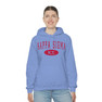 Kappa Sigma Group Hooded Sweatshirts