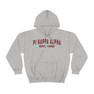 Pi Kappa Alpha Established Hooded Sweatshirts