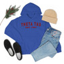  Theta Tau Established Hooded Sweatshirts 