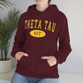  Theta Tau Group Sweatshirts 