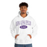 Sigma Alpha Epsilon Group Hooded Sweatshirts