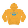 Sigma Chi Group Hooded Sweatshirts