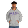 Sigma Phi Epsilon Established Hooded Sweatshirts
