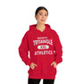 Triangle Property Of Athletics Hooded Sweatshirts