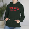  Triangle Established Hooded Sweatshirts 