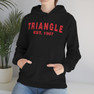  Triangle Established Hooded Sweatshirts 