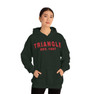  Triangle Established Hooded Sweatshirts 
