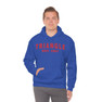  Triangle Established Hooded Sweatshirts 