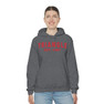  Triangle Established Hooded Sweatshirts 