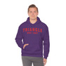  Triangle Established Hooded Sweatshirts 