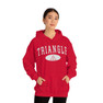 Triangle Group Hooded Sweatshirts