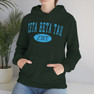 Zeta Beta Tau Group Hooded Sweatshirts