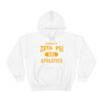 Zeta Psi Property Of Athletics Hooded Sweatshirts