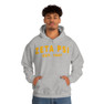 Zeta Psi Established Hooded Sweatshirts