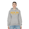 Zeta Psi Established Hooded Sweatshirts