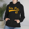 Zeta Psi Tail Hooded Sweatshirts