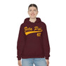  Zeta Psi Tail Hooded Sweatshirts 