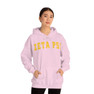 Zeta Psi Letterman Hooded Sweatshirts