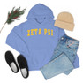  Zeta Psi Letterman Hooded Sweatshirts 