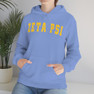  Zeta Psi Letterman Hooded Sweatshirts 