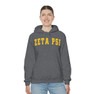  Zeta Psi Letterman Hooded Sweatshirts 