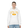 Zeta Psi Group Hooded Sweatshirts