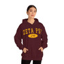  Zeta Psi Group Hooded Sweatshirts 