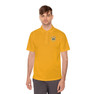 Delta Upsilon Flag Sport Polo Shirt