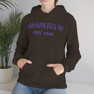  Alpha Kappa Delta Phi Established Hooded Sweatshirts 