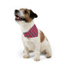 Belmont University Pattern Pet Bandana Collar - Red