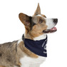 Personalized First Mate & Boat Name Pet Bandana Collar