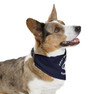  Personalized First Mate & Boat Name Pet Bandana Collar 
