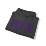 Beta Upsilon Chi Lines Hooded Sweatshirts