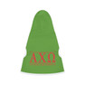 Alpha Chi Omega Pet Hoodie