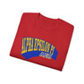 Alpha Epsilon Pi Vintage Super Tee