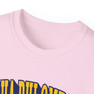 Alpha Phi Omega Vintage Super Tee