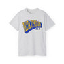 Delta Upsilon Vintage Super Tee