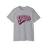 Phi Sigma Kappa Vintage Super Tee