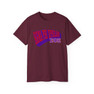 Sigma Phi Epsilon Vintage Super Tee