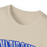 Sigma Tau Gamma Vintage Super Tee