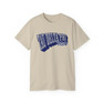 Tau Delta Phi Vintage Super Tee