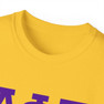  Delta Phi Epsilon Dad Tee 