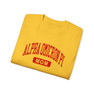  Alpha Omicron Pi Mom Varsity Tee 