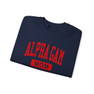 Alpha Gamma Delta Mom Varsity Crewneck Sweatshirts