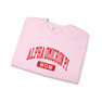  Alpha Omicron Pi Mom Varsity Crewneck Sweatshirts 