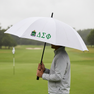 Delta Sigma Phi Fraternity Golf Umbrella 30"