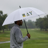 Delta Upsilon Fraternity Golf Umbrella 30"