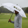 Phi Lambda Chi Fraternity Golf Umbrella 30"