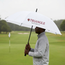 Triangle Fraternity Golf Umbrella 30"